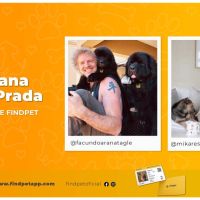Findpet anuncia a sus nuevos embajadores: Mikaela Prada y Facundo Arana
