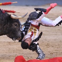 Un toro de La Quinta carga contra el torero español Emilio de Justo en la plaza de toros de Las Ventas durante el festival taurino de San Isidro en Madrid. | Foto:ALBERTO SIMON / AFP