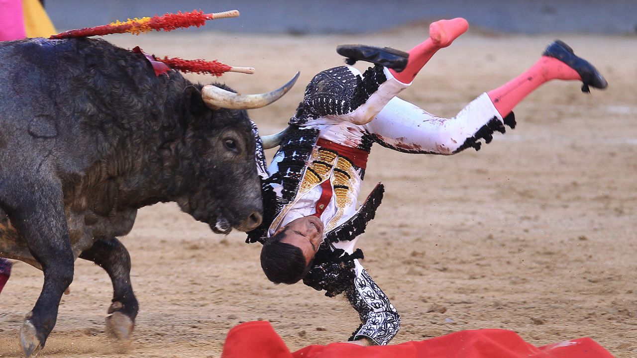 Un toro de La Quinta carga contra el torero español Emilio de Justo en la plaza de toros de Las Ventas durante el festival taurino de San Isidro en Madrid. | Foto:ALBERTO SIMON / AFP