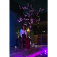 Tray Event Planner: creando eventos con dedicación y pasión