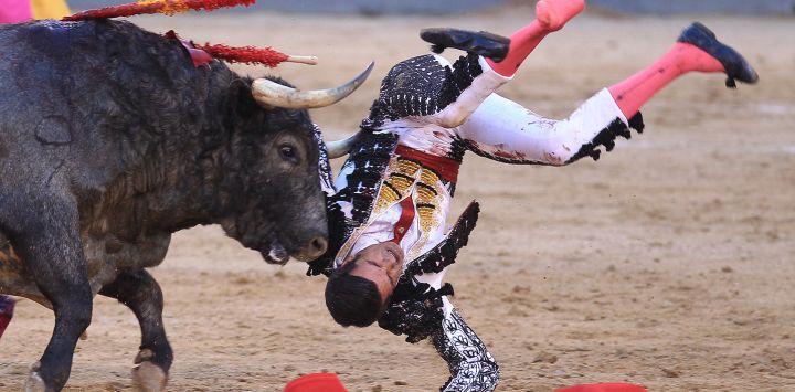 Un toro de La Quinta carga contra el torero español Emilio de Justo en la plaza de toros de Las Ventas durante el festival taurino de San Isidro en Madrid.