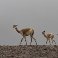 Claudia, la geóloga que captura la esencia de los Andes con su lente