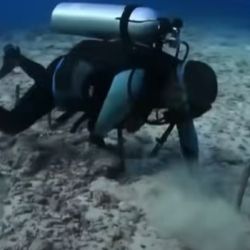 Fue hallada en las profundidades del océano Pacifico, en Tonga.
