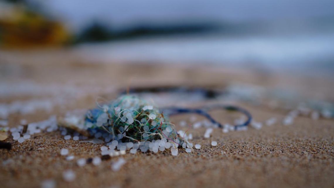 Research from the University of Barcelona has discovered that synthetic grass is polluting the ocean and rivers with microplastics.