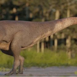 Reconstrucción en 3D de Koleken inakayali. 