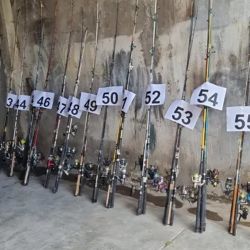 Tras 3 años del secuestro, los elementos pasan a remate y se recauda para la dirección de Fauna. 