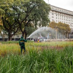 Buenos Aires más verde | Foto:CEDOC