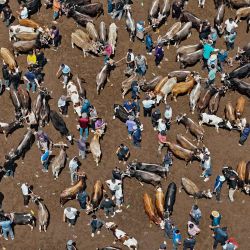 Esta fotografía aérea muestra a personas visitando un mercado de ganado en Yili, en la región de Xinjiang, en el noroeste de China. | Foto:AFP