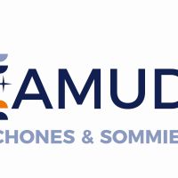 Camudi