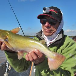 Ausentes los pejes, nos conformamos con manduvas, chafalotes y dorados.