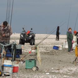 Esta tradicional fiesta tuvo sus inicios en la década del 80 siendo una festividad local, para pasar luego, a tener carácter Provincial, siendo declarada Nacional por Resolución 327 de 1991 de la Secretaría de Turismo de la Nación.