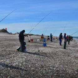 Esta tradicional fiesta tuvo sus inicios en la década del 80 siendo una festividad local, para pasar luego, a tener carácter Provincial, siendo declarada Nacional por Resolución 327 de 1991 de la Secretaría de Turismo de la Nación.
