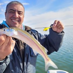 El frío no impidió que los pescadores se muevan por todo el país, con un pejerrey que fue la gran atracción en el mar como en las lagunas y el Río de la Plata. 