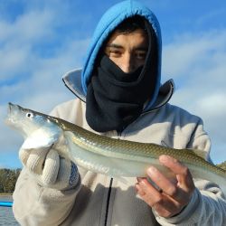 El frío no impidió que los pescadores se muevan por todo el país, con un pejerrey que fue la gran atracción en el mar como en las lagunas y el Río de la Plata. 