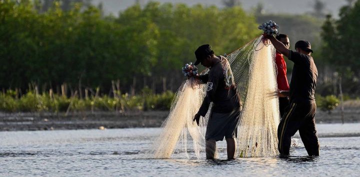 Un hombre tendió su red de pesca en aguas poco profundas en las afueras de la playa de Banda Aceh. Foto CHAIDEER MAHYUDDIN / AFP