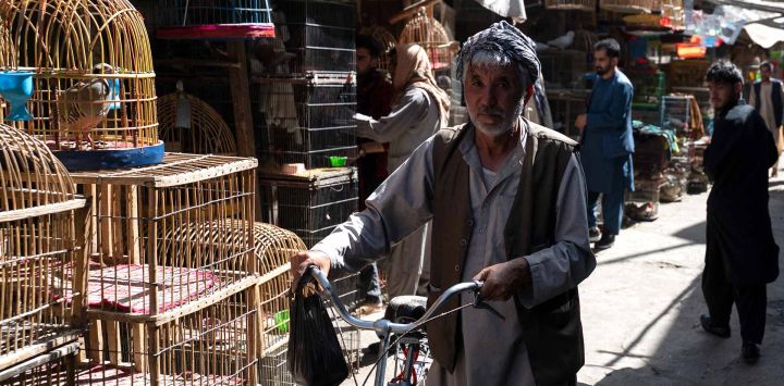 Hombres afganos caminan por una calle en el mercado de aves Koch-e Kafuroshi, en Kabul. Foto Wakil KOHSAR / AFP