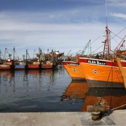 Los barcos amarillos del puerto de Mar del Plata van a desaparecer.