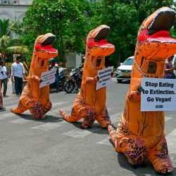 Activistas de Personas por el Trato Ético de los Animales (PETA) visten disfraces de dinosaurios mientras protestan por el veganismo en Hyderabad. Foto NOAH SEELAM / AFP | Foto:AFP