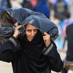 Los palestinos huyen de la zona de Tal al-Sultan en Rafah con sus pertenencias tras los renovados ataques israelíes en la ciudad del sur de la Franja de Gaza. Foto Eyad BABA / AFP | Foto:AFP