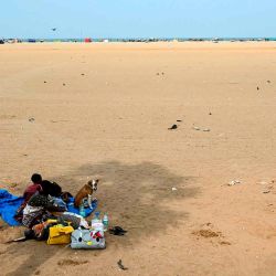 Una familia se protege del sol bajo la sombra de una palmera en Marina Beach durante un caluroso día de verano en Chennai. Foto R.Satish BABU / AFP  | Foto:AFP