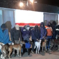 Todos los sospechosos fueron detenidos y multados.