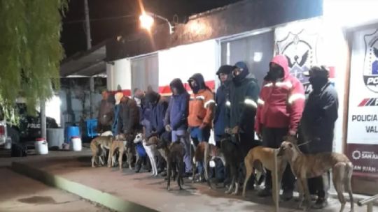 Detuvieron y multaron a 14 cazadores furtivos con 16 galgos en San Juan