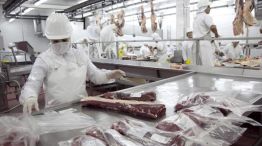 Los exportadores de carne vacuna están expectantes por las ventas al mercado chino.