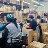 Iluminarte y Aromanza