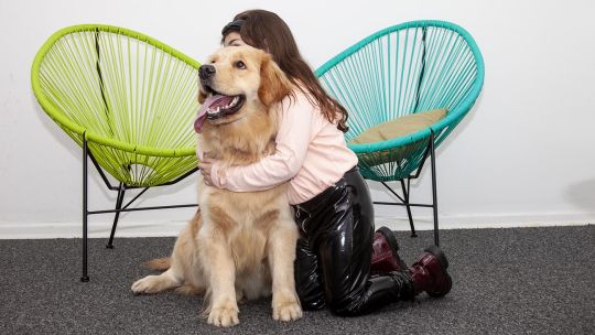 Cómo impacta la tarea de los perros en la asistencia judicial de niños