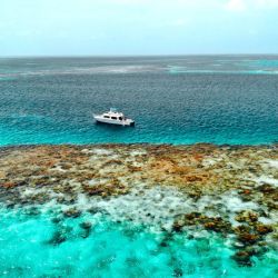 Turtle Inn, Belice. 