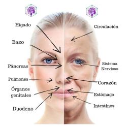 Elisabeth Gamarra: El rostro como mapa de vida  | Foto:CEDOC