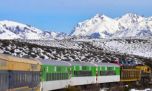 Tren Patagónico: vuelve a funcionar el servicio entre Bariloche y San Antonio Oeste