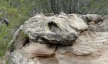 La Rioja: dinosaurios de piedra en el Parque Provincial El Chiflón