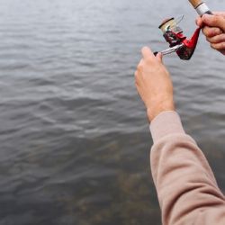 La cartera ambiental busca mantener y mejorar las poblaciones de peces que le permiten a la sociedad disfrutar de jornadas de esparcimiento.