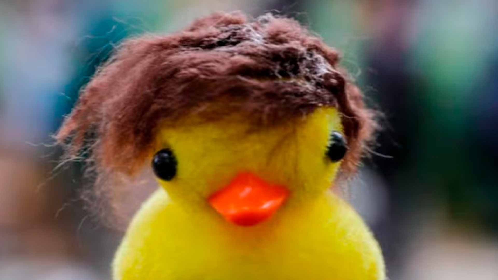 Patitos En Fila La Ola Amarilla Noticias