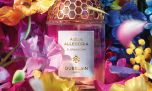 Explosión floral: descubrí la nueva fragancia sustentable de Guerlain