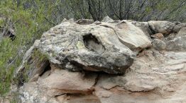 0606_ischigualasto