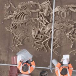 Los esqueletos datan de hace unos 2.000 años.
