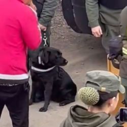 Canina Jelinek en un operativo anti-narcóticos  | Foto:CEDOC