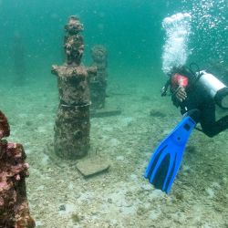 El guía Orlis Navas bucea en el museo submarino MUSZIF en Isla Fuerte, departamento de Bolívar, Colombia. En el Caribe colombiano, un museo submarino protege los arrecifes de coral amenazados por el turismo y el cambio climático. | Foto:LUIS ACOSTA/AFP