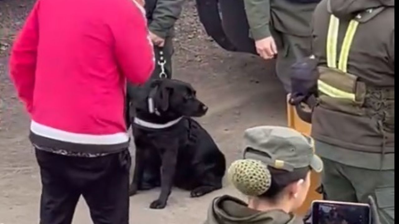 Canina Jelinek en un operativo anti-narcóticos  | Foto:CEDOC