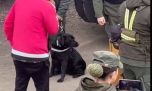 Canina Jelinek: la perra que busca droga y se volvió viral