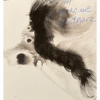 Liliana Livneh, una artista visual que provoca una atracción hipnótica