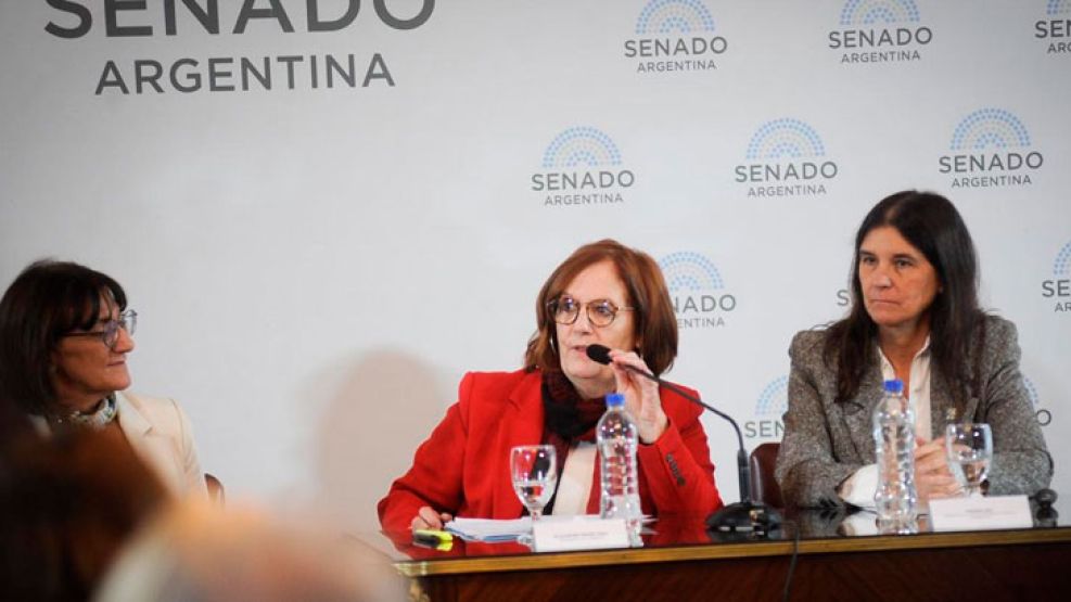 alejandra-vigo-senadora