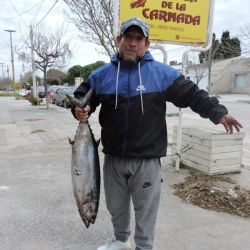 Pescadores artesanales señalaron que es común que aparezca alguna captura de este tipo en las redes de pesca.