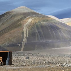 Un caballo descansa junto a un refugio frío y nevado en las montañas andinas de la Región de Atacama, Chile. Chile planea duplicar su producción de litio en el desierto de Atacama mediante la explotación en Aguilar y La Isla, ubicadas en el " Triángulo del Litio", completado por Argentina y Bolivia. La explotación amenaza los ecosistemas de las salinas y los medios de vida de los pueblos indígenas en estas zonas inhóspitas. | Foto:RODRIGO ARANGUA/AFP