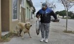 Insólito: un perro pescó un atún en Claromecó
