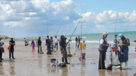 En las costas de la Bahía de San Antonio, al mes de mayo, lo consideran de transición, ya que comienza a alejarse el pejerrey blanco o escardón y hace su aparición en forma lenta, pero sostenida el corno o manila.