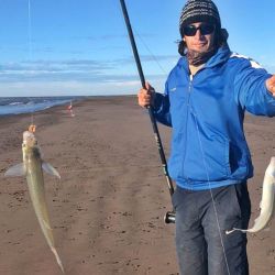 La semana terminó con un repunte en las temperaturas lo que favoreció los rindes de pesca en gran parte del país. 