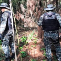 Los agentes realizaban recorridos rurales cuando, cerca de la Ruta Provincial 16 en el kilómetro 56.